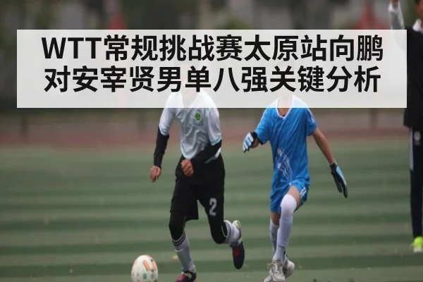 WTT常规挑战赛太原站向鹏对安宰贤男单八强关键分析（ANBOSPORT）